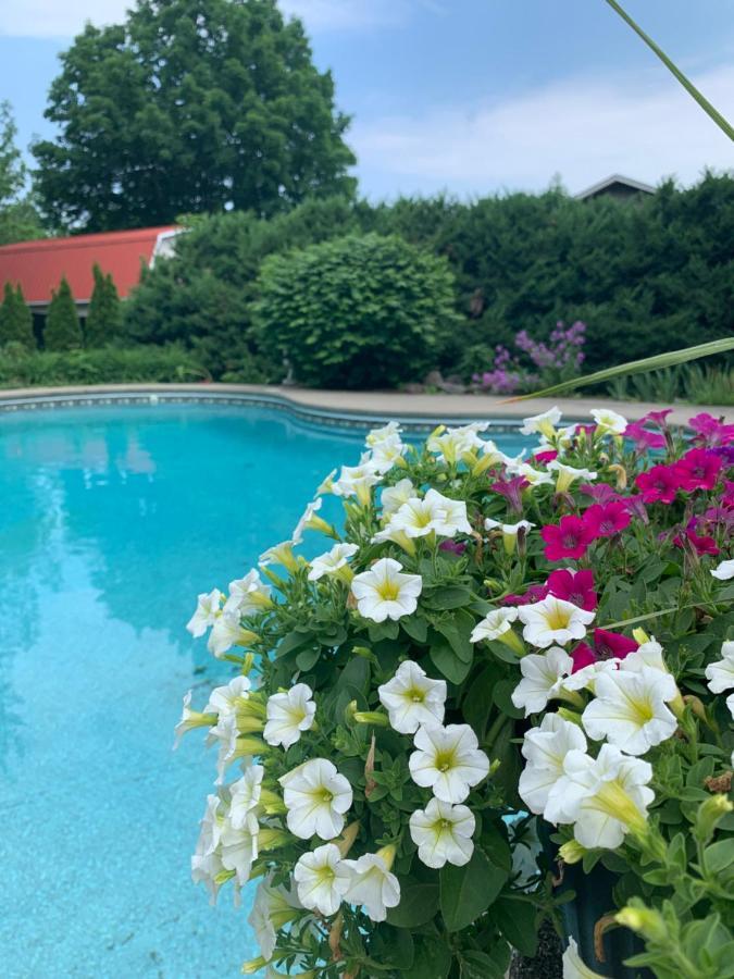 Manoir Alegria Bed and Breakfast Cowansville Buitenkant foto